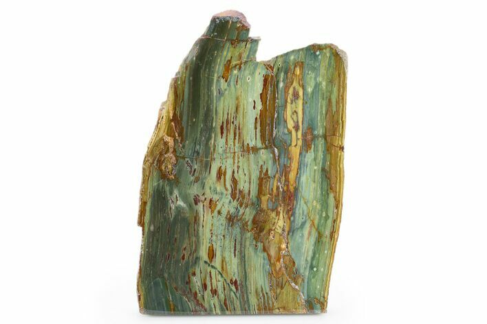 Gary Green Jasper (Larsonite) Bog Wood Slab - Oregon #302903